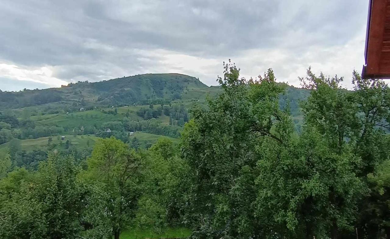 Villa Casuta Din Livada à Moisei Extérieur photo